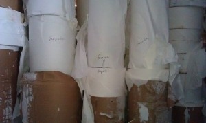 IMAG0151 (2)